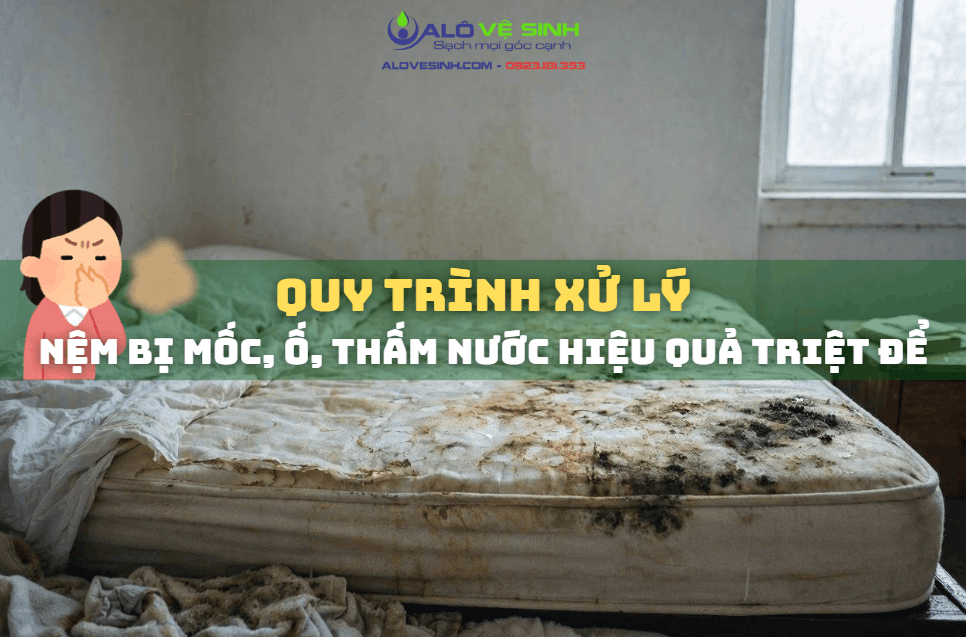 Quy Trình Xử Lý Sự Cố Nệm Bị Mốc, Ố, Thấm Nước Hiệu Quả Triệt Để 1 Quy trình xử lý nệm bị mốc, ố, thấm nước